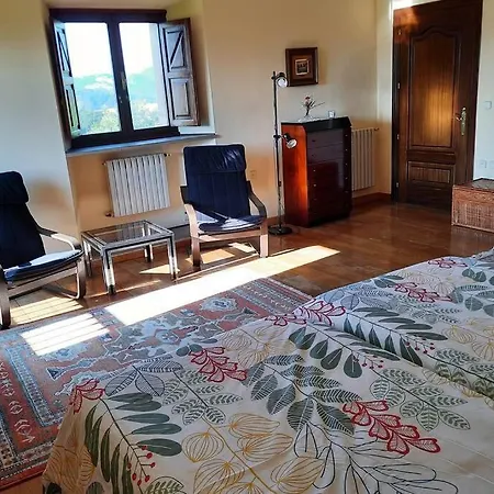 Villa Palacio Marques Vega De Anzo - De Campo Sxvii