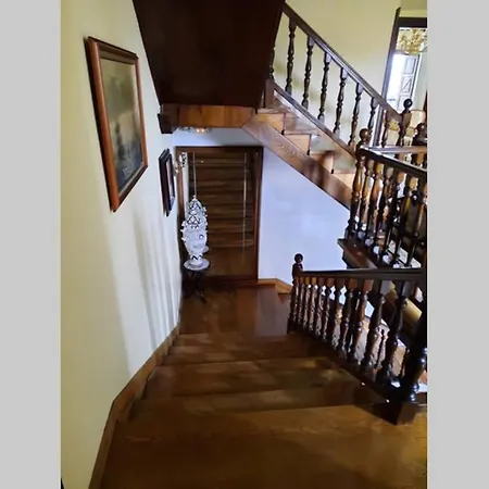 Palacio Marqués Vega De Anzo - De Campo Sxvii